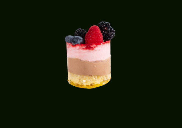 VEGAN Chocolate raspberry gluten & dairy-free