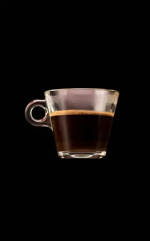 Americano Barista Coffee by l'Artisan