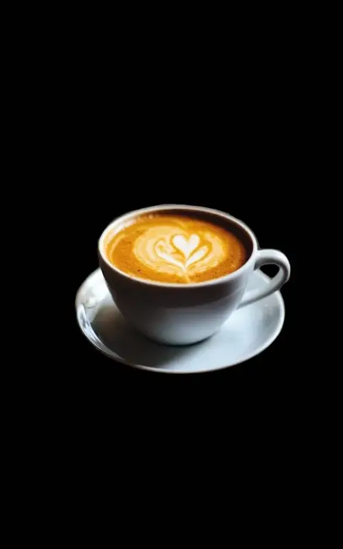Cappuccino Barista Coffee by l'Artisan