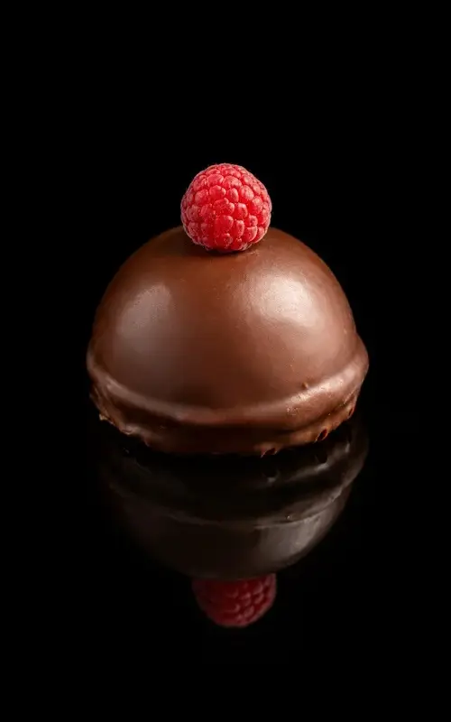 VEGAN Dome Raspberry Chocolate gluten & dairy-free